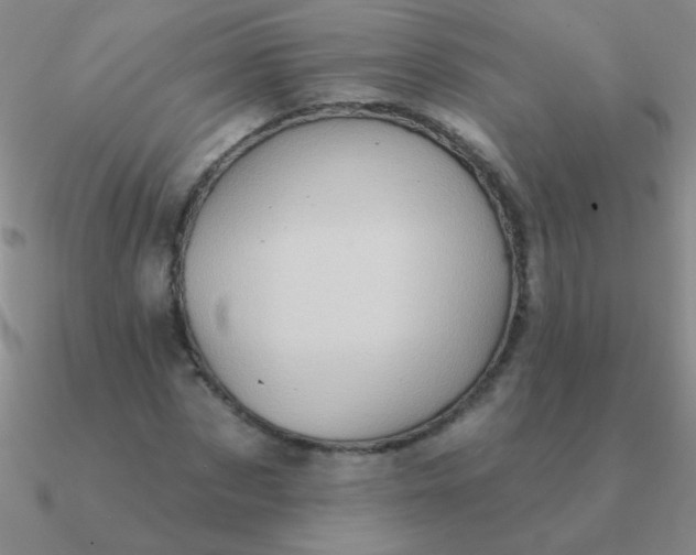 X0000090630873200708071244