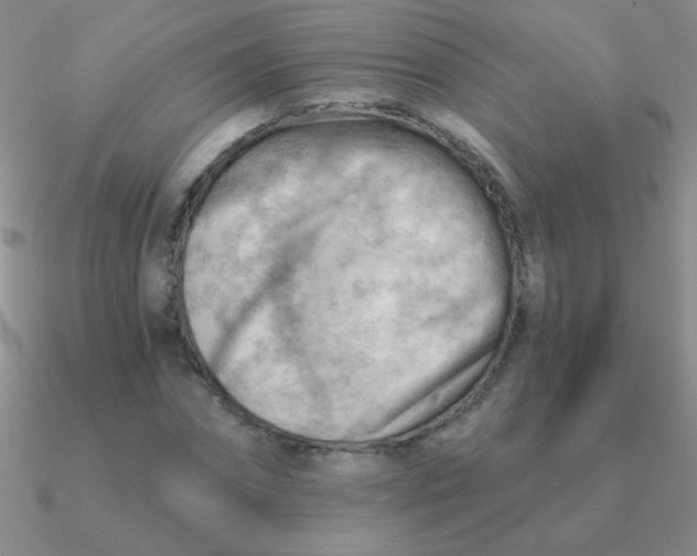 X0000090630874200708071244