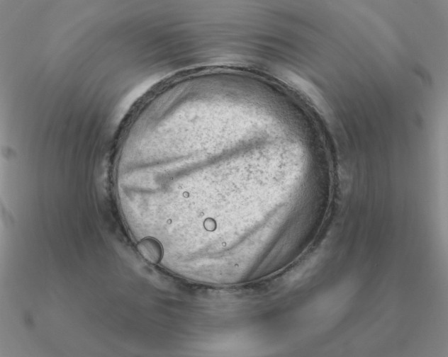 X0000090630875200708071244