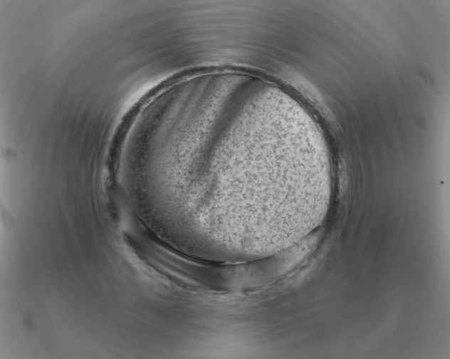 X0000090630876200708071244