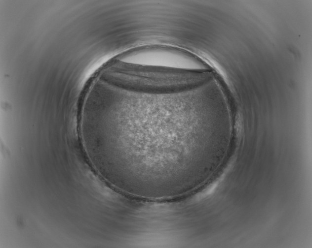 X0000090630877200708071243