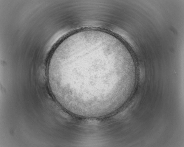 X0000090630878200708071243