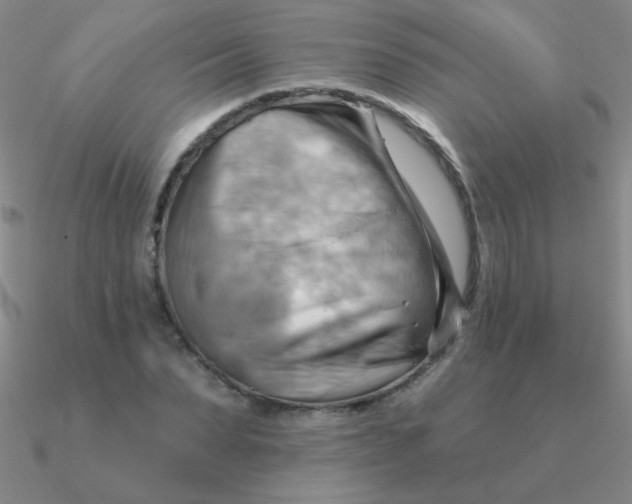 X0000090630879200708071243