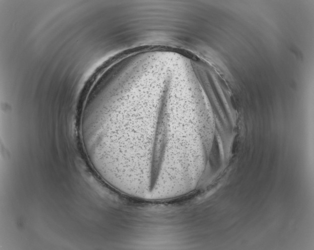 X0000090630880200708071243