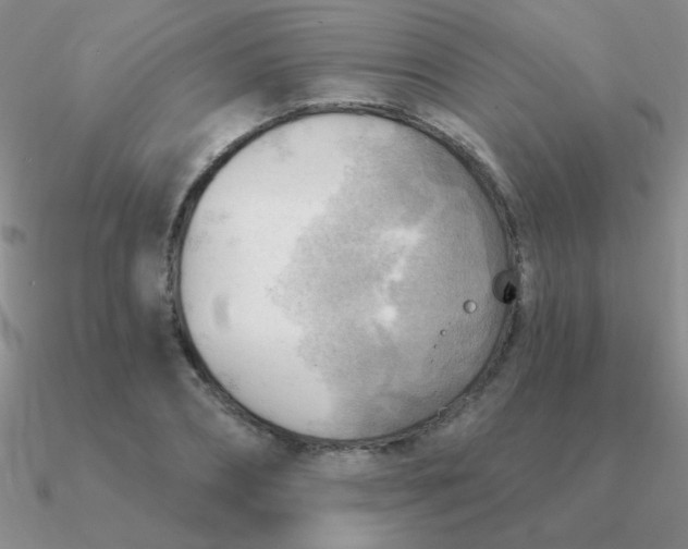 X0000090630882200708071243