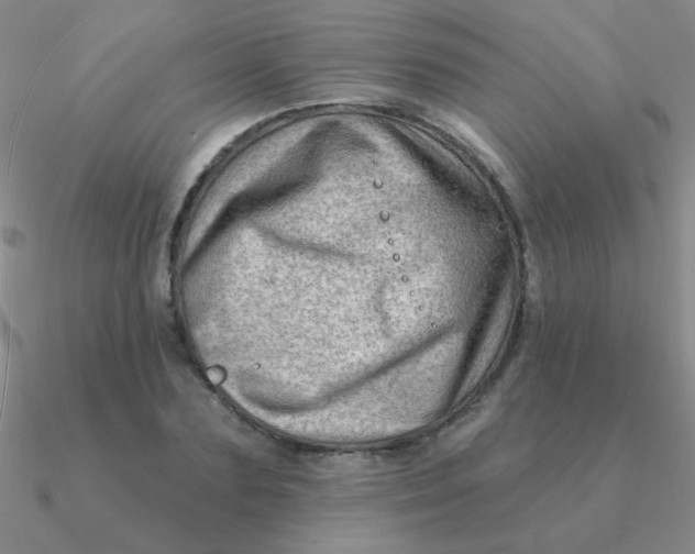 X0000090630883200708071243