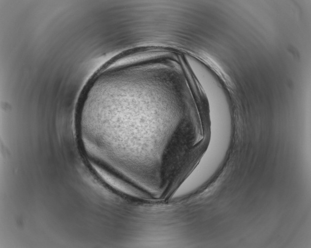 X0000090630884200708071243