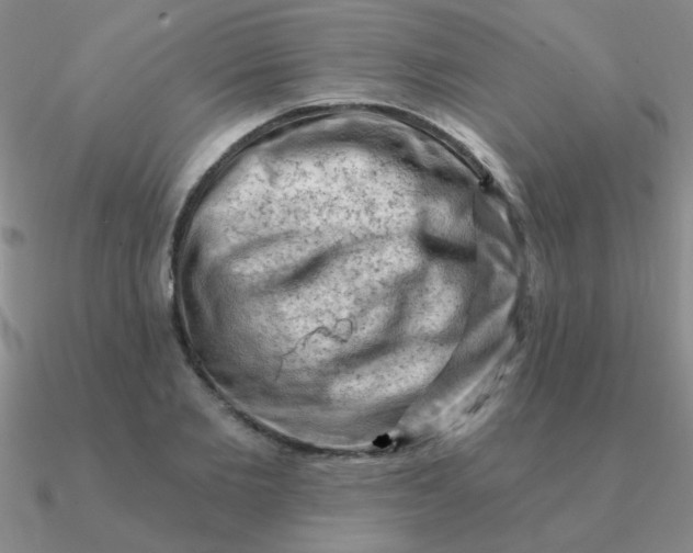 X0000090630885200708071243