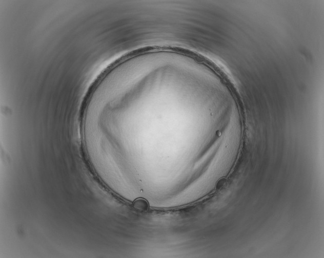 X0000090630887200708071243