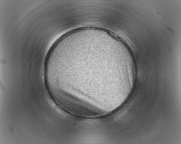 X0000090630888200708071243