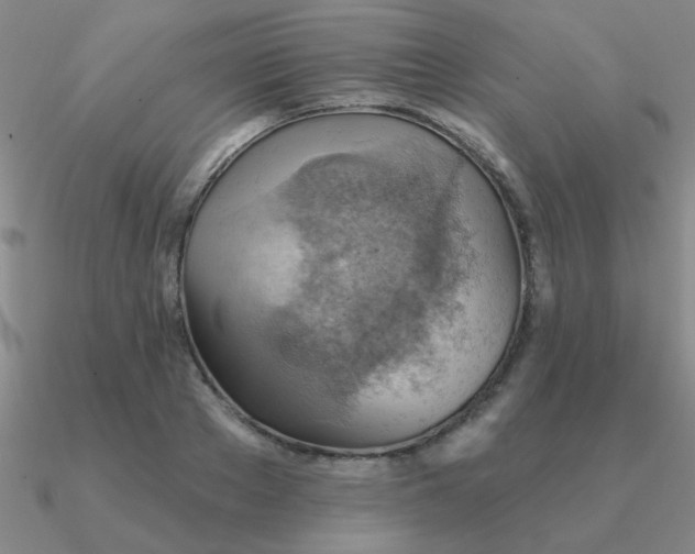 X0000090630889200708071243