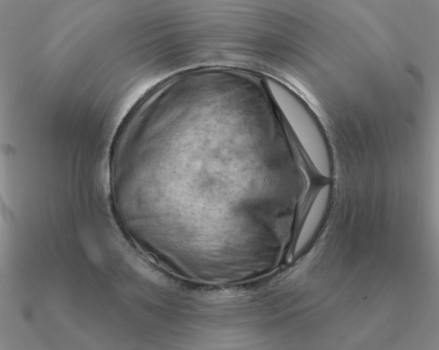 X0000090630891200708071243