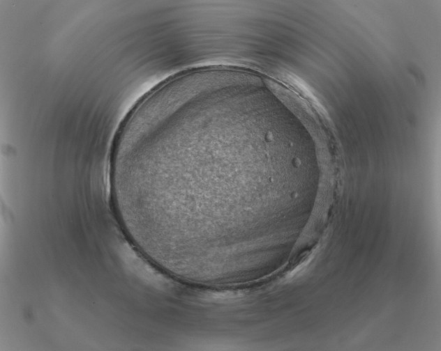 X0000090630892200708071243