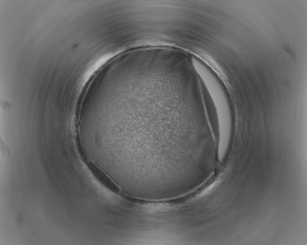 X0000090630893200708071243