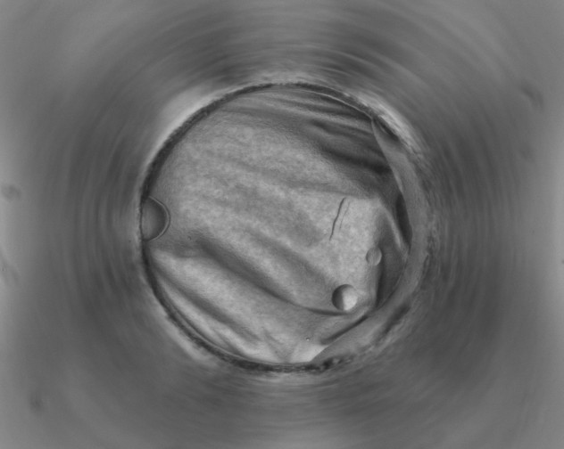 X0000090630894200708071243