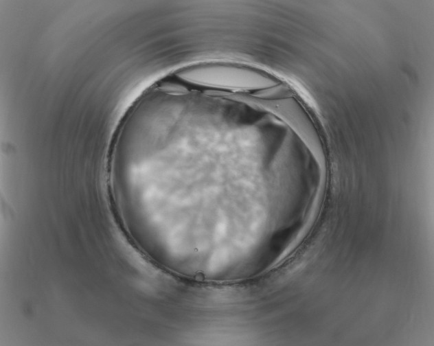 X0000090630895200708071243