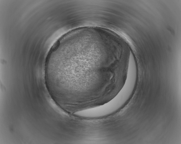 X0000090630896200708071243