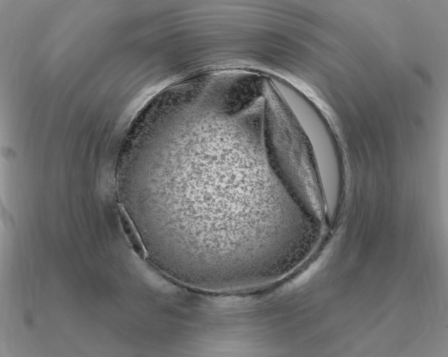 X0000090630897200708071243