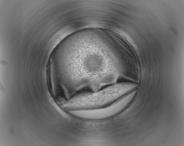 X0000090630898200708071243