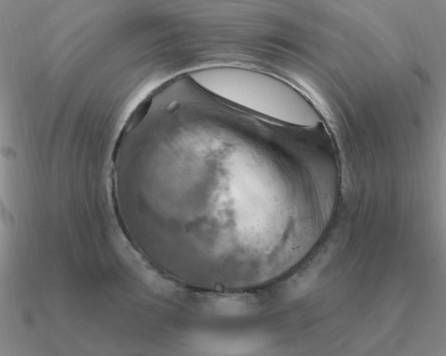 X0000090630899200708071243