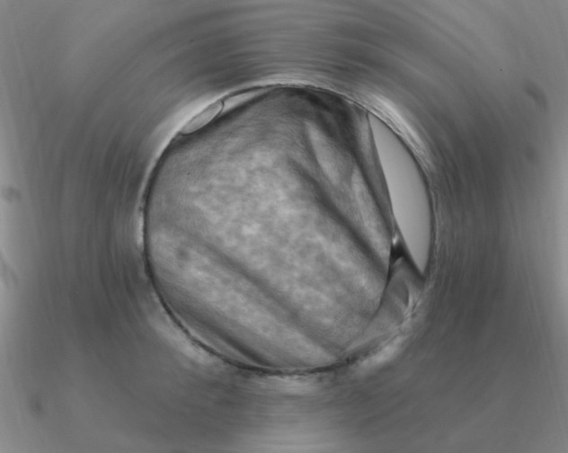 X0000090630900200708071243