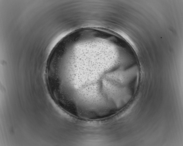 X0000090630901200708071243