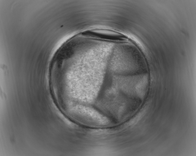 X0000090630902200708071243