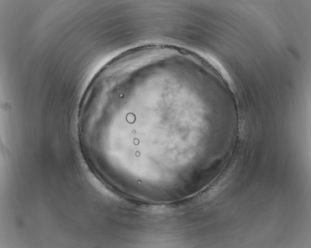 X0000090630903200708071243