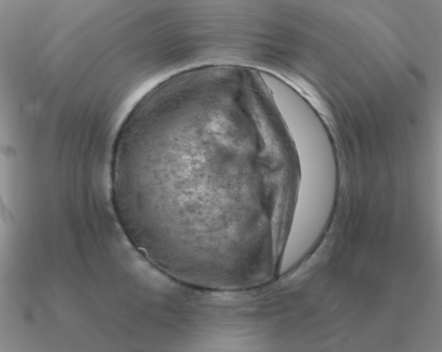 X0000090630904200708071243