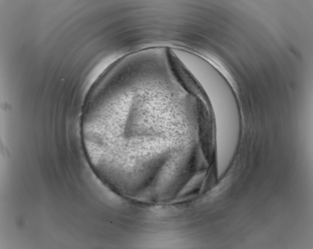 X0000090630906200708071243