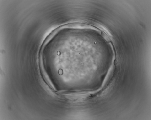 X0000090630907200708071243