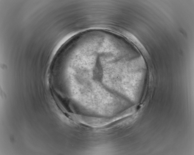 X0000090630908200708071243