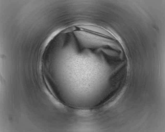 X0000090630909200708071243