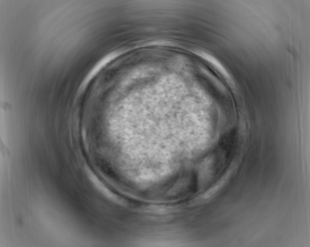 X0000090630910200708071243