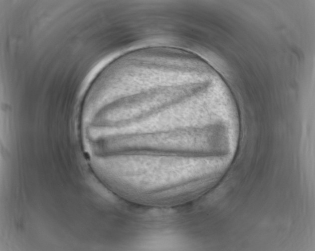 X0000090630912200708071243