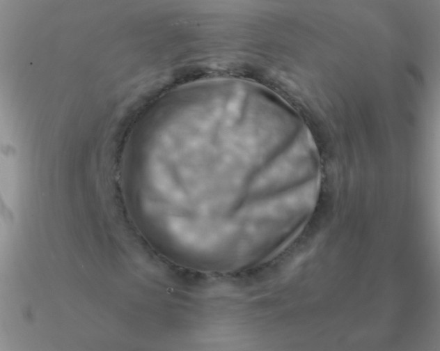 X0000090630913200708071242