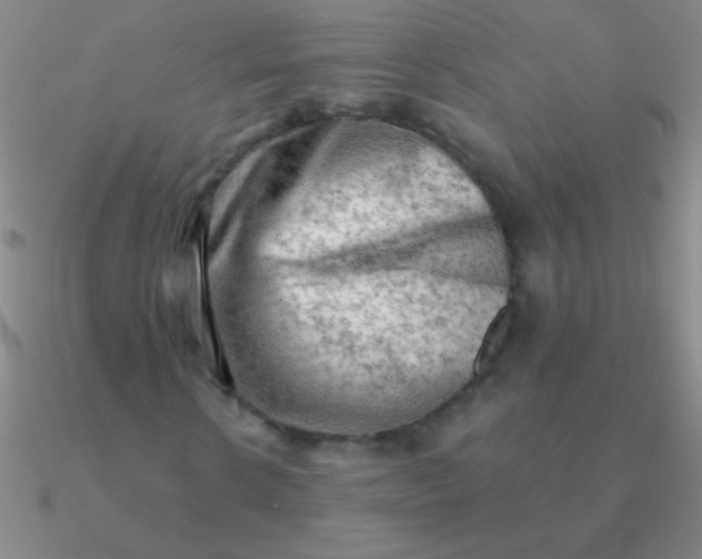 X0000090630914200708071242