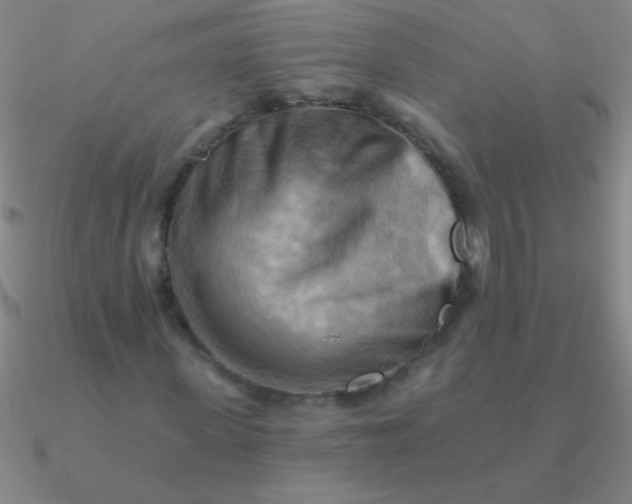 X0000090630915200708071242