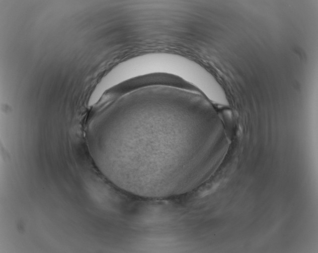 X0000090630916200708071242