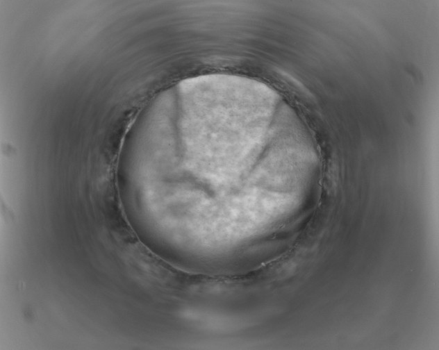 X0000090630917200708071242