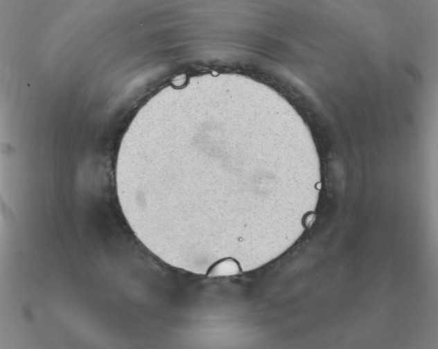 X0000090630918200708071242