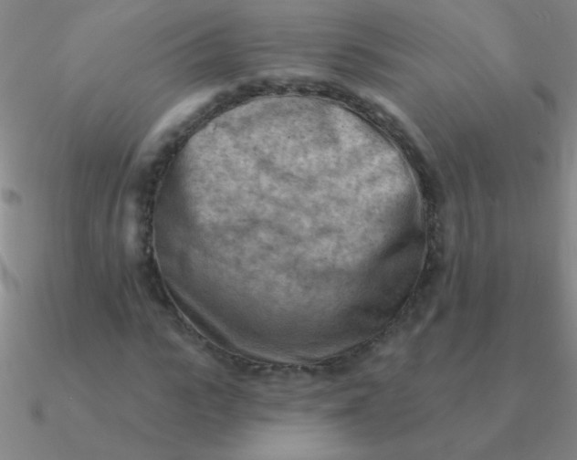 X0000090630919200708071242