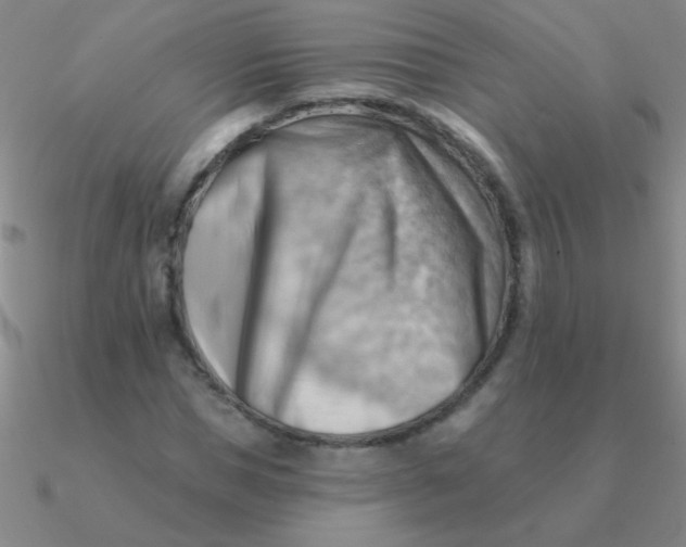 X0000090630921200708071243