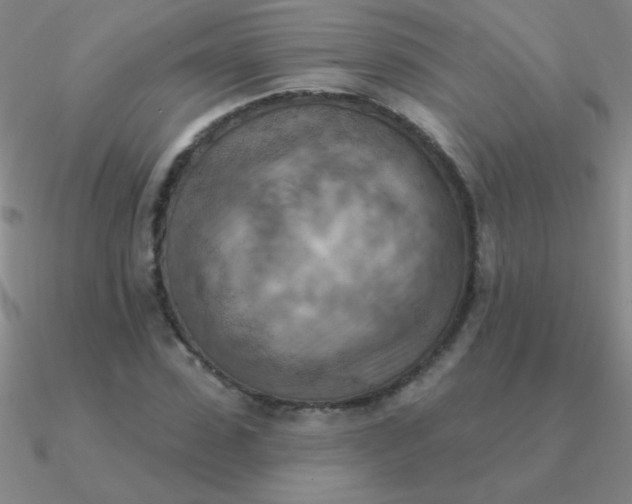 X0000090630923200708071243