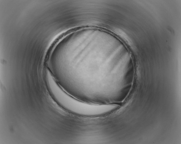 X0000090630924200708071243