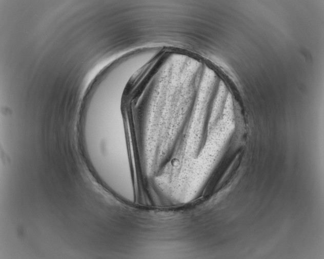 X0000090630928200708071243