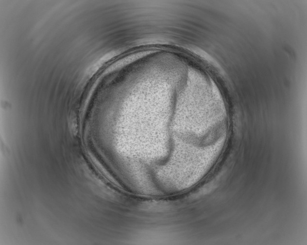 X0000090630929200708071243