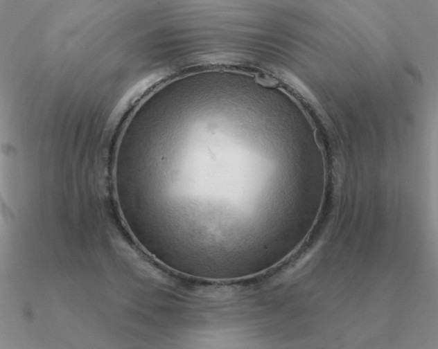 X0000090630930200708071243