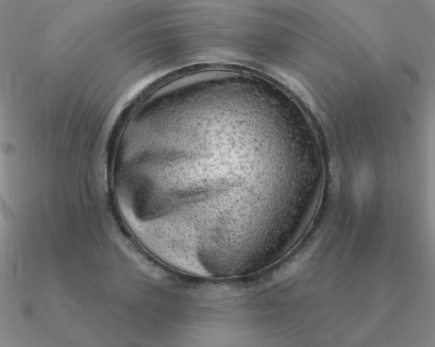 X0000090630931200708071243