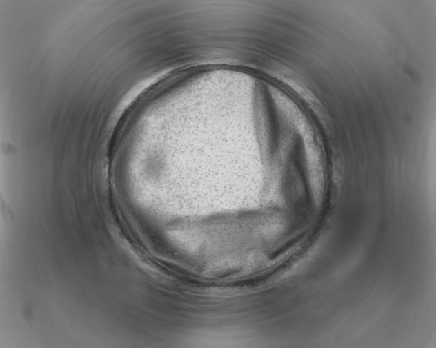 X0000090630933200708071243